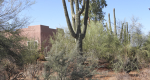 el sendero